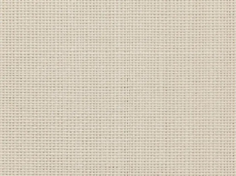 Close detail of unpainted primed canvas, its weave picked out by low side light.